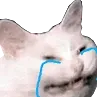 Emoji EXP_Wcatcry