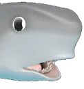 Emoji shark_pog