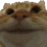 Emoji catyes