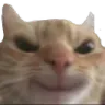 Emoji EXP_Bevilcat