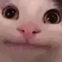 Emoji emoji_52