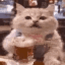 Emoji beerscat_AAT
