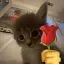 Emoji catgivingflower