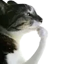 Emoji emoji_49