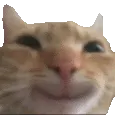 Emoji hihihi