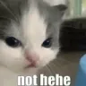 Emoji nothehecatto