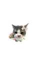 Emoji CatFlower
