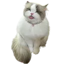 Emoji cutecattongue