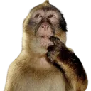 Emoji monkeythink
