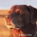 Emoji mytime