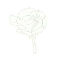 Emoji 35128flowerwhite