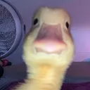 Emoji emoji_10