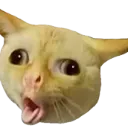 Emoji 289390kittycough