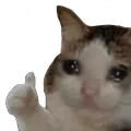 Emoji Meme_Sad_Cat_Thumbs_Up