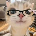 Emoji 615747f1f3657b87da0242f6876837ab