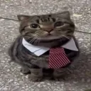 Emoji 6ac5e597036fd021f06f55550a39286c