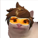 Emoji tracer_cat