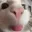 Emoji HL_05_chat
