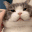 Emoji cutecatpat
