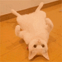 Emoji cat_want_hug