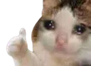 Emoji thumbsupcry