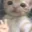 Emoji HL_05_chat