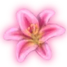 Emoji shinylily