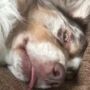 Emoji emoji_25