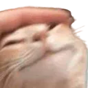 Emoji hehe