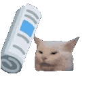 Emoji paper