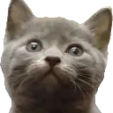Emoji Owen