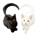 Emoji pesteyuyu