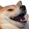 Emoji dogelaugh