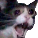 Emoji 1089_sadcat1