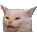 Emoji 2867_CatRee