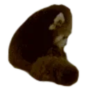 Emoji redpanda_disappointed