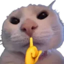 Emoji cat_shh