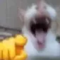 Emoji BAHAHAH