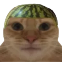 Emoji CatHat