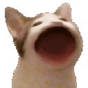 Emoji CatLaughOmegaLUL