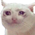 Emoji cry_cat
