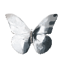 Emoji erebus_butterfly