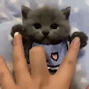 Emoji HL_05_chat