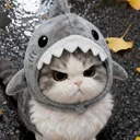 Emoji HL_05_chat