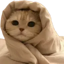 Emoji HL_05_chat