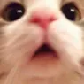Emoji HL_05_chat