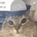 Emoji HL_05_chat