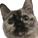 Emoji MinouChokbar