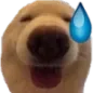 Emoji c_