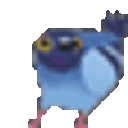 Emoji pigeon